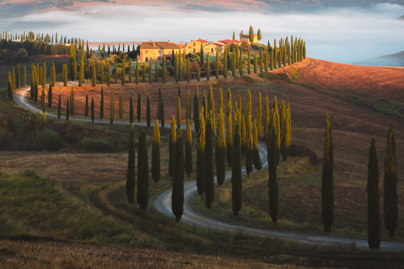 The rolling hills of Baccoleno, Tuscany, with a winding cypress-lined road and golden fields under a clear sky.