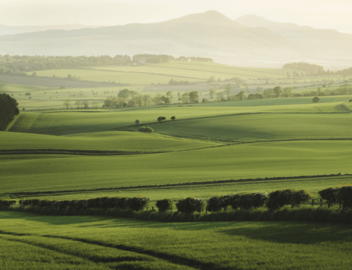 How to Master Stephen Bridger’s Excellent Landscape Framing Technique