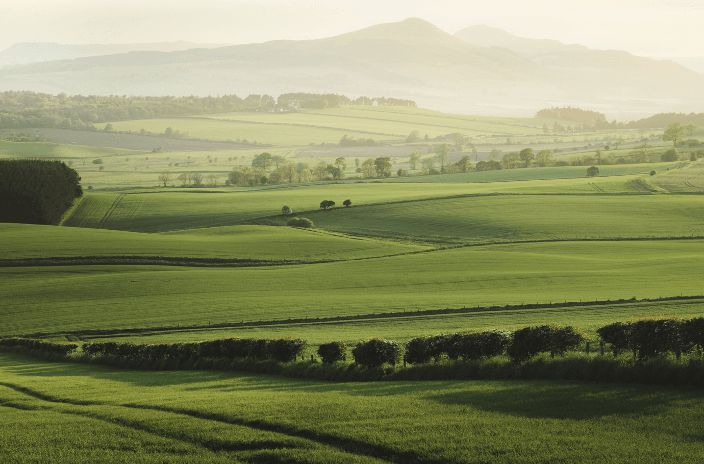 Rolling green farmland in Fife, Scotland, under a partly cloudy sky.