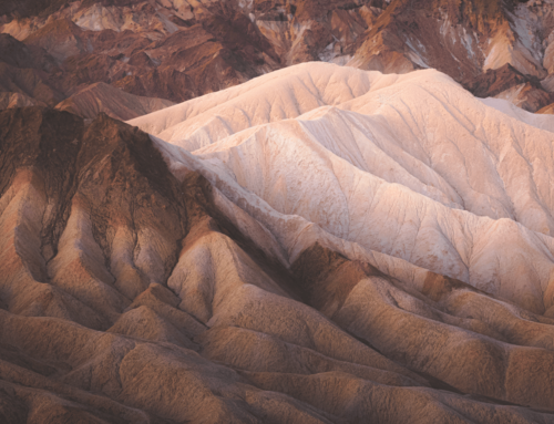 Deserts, Drylands, Plains & Canyons: A Collection by Stephen Bridger