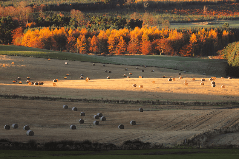 The countryside, bathed in autumnal hues, captured by Stephen Bridger the photographer.