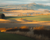 The countryside captured by Stephen Bridger in Scotland.