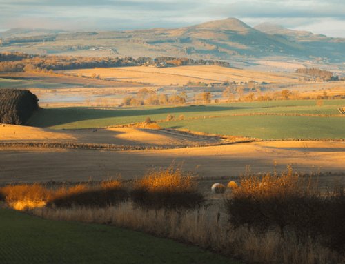 Golden Hour Photography with Stephen Bridger: Tips for Magical Lighting