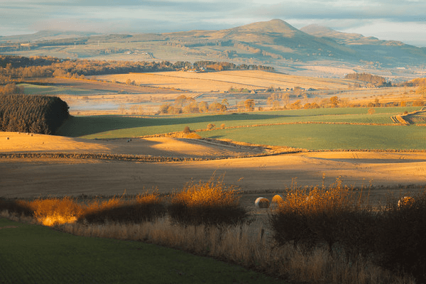 The countryside captured by Stephen Bridger in Scotland.