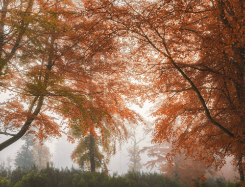 Stephen Bridger’s Travel Photography: Dream Destinations for Your Bucket List